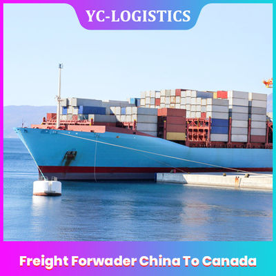 Sea CIF Door DDP Express Freight Forwarder Trung Quốc đến Canada