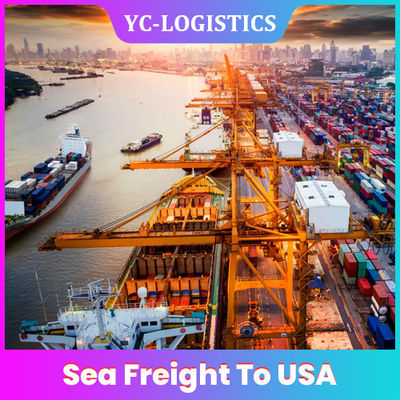 Quảng Đông Freight Forwarder International Shipping DDU DDP