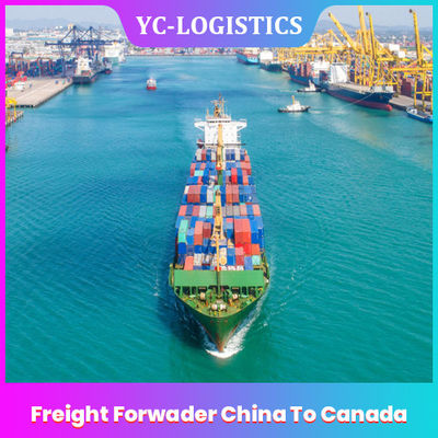 EXW DDU Freight Forwarder Trung Quốc đến Canada Dịch vụ Thu thập Trực tuyến 24h