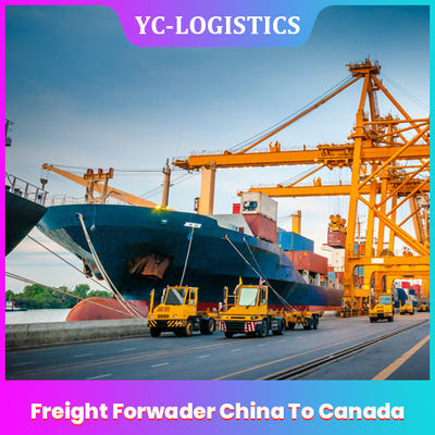 FOB EXW Trung Quốc đến Canada Dịch vụ giao nhận hàng hóa từ Thâm Quyến đến Toàn thế giới, Dịch vụ giao nhận hàng hóa đường biển DDU